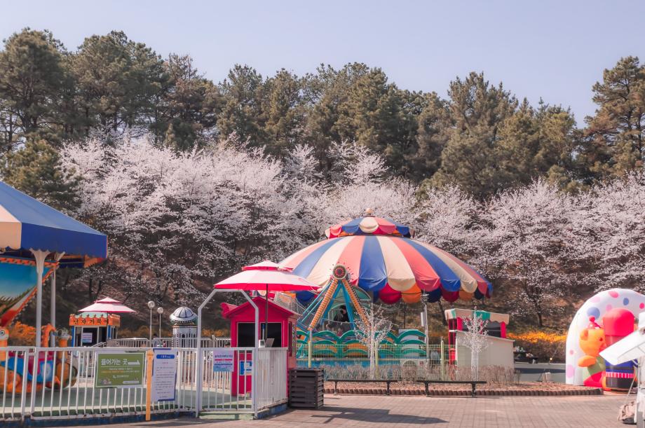천안 주말나들이 봄을 맞이한 상록리조트 놀이공원